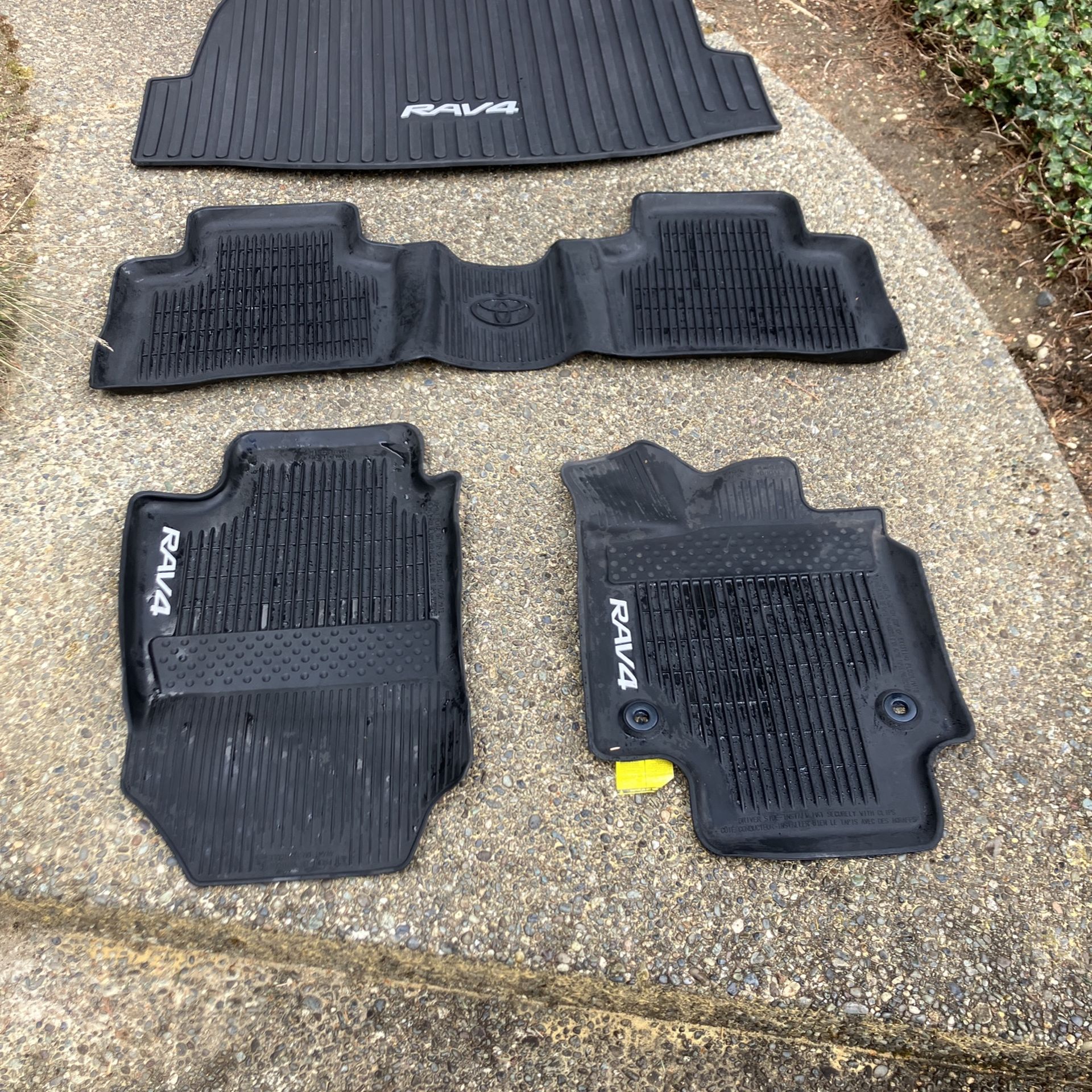 Toyota RAV4 2019- Current mats