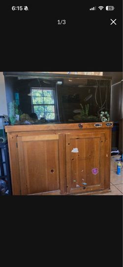 100 gallon fish tank