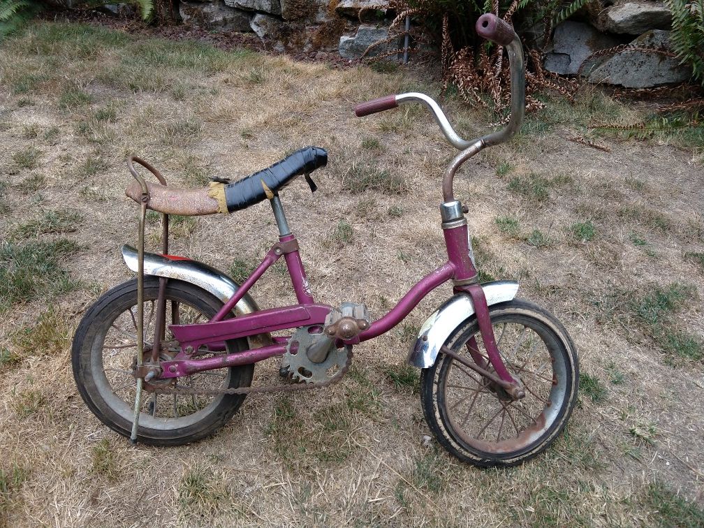 1970's Schwinn Lil' Tiger Bicycle