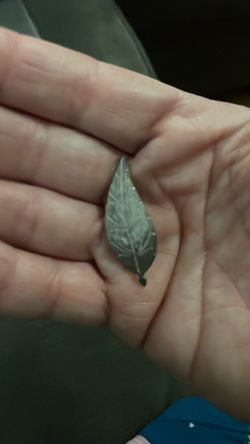 Vintage  White Veined Leaf Brooch