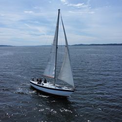 1975 Buchan 37
