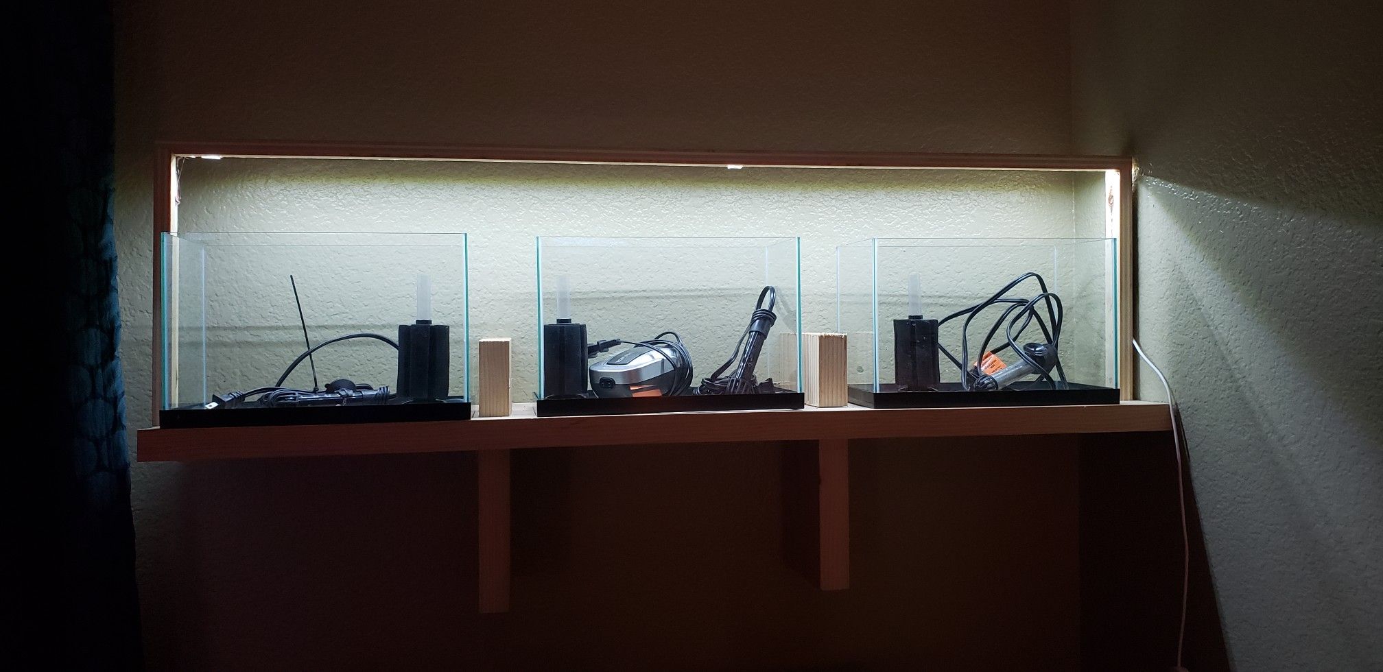 3, 2.5 gallon rimless aquariums with wall mounted shelf and dimmable LED light