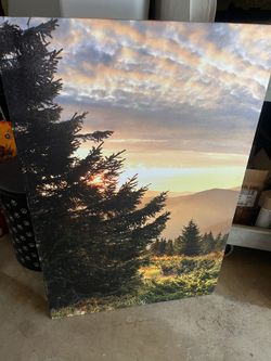 Canvas Picture Frame