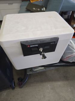 Sentry safe