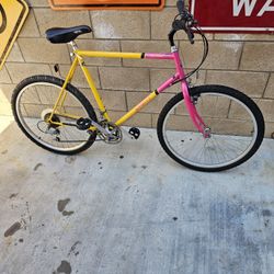 Vintage Mountain Bike 