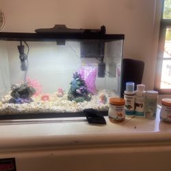 Fish Tank 
