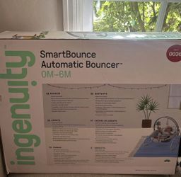 Ingenuity automatic bouncer