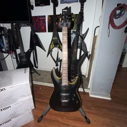 Schecter guitar