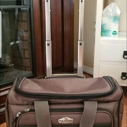 RICARDO BEVERLY HILLS CARRY ON LUGGAGE BAG 