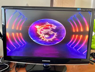 Computer Monitor/TV Reciver