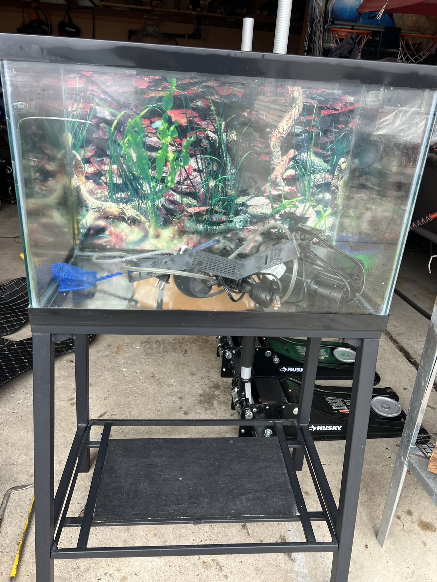 20 Gallon Fish Tank