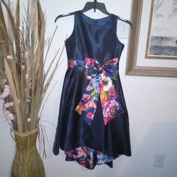 Rare Editions Blue Girl Dress Size 16