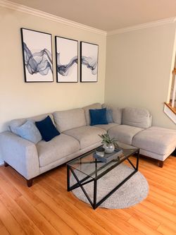 Light Gray Fabric Sectional Sofa with Chaise