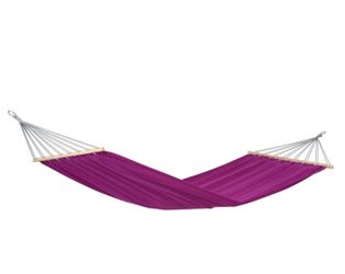 Hammock and Carrying Case