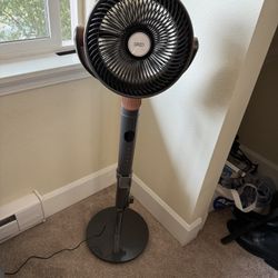 Oscillating Standing Fan