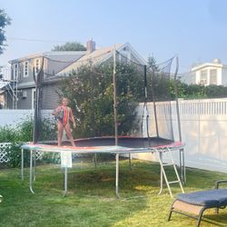Trampoline 