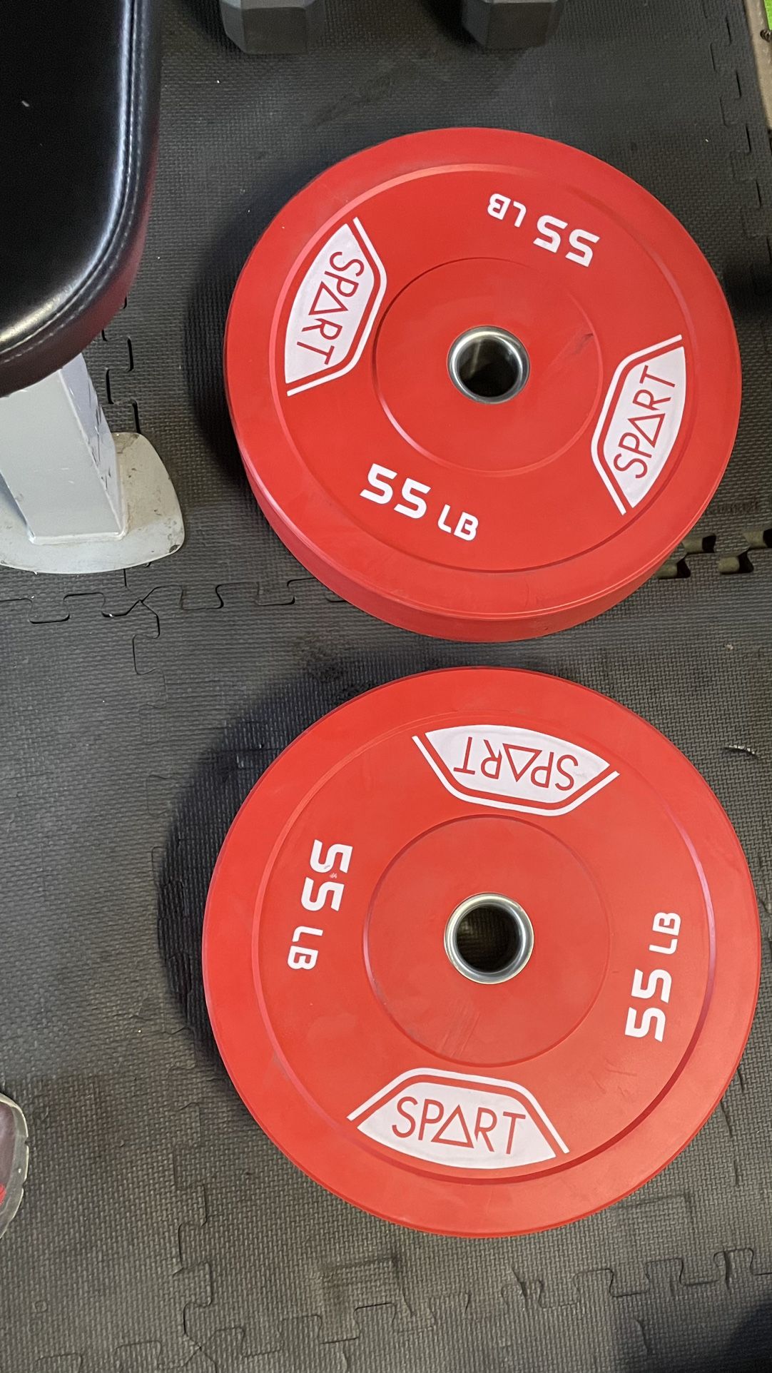 Pair of 55lbs Bumbler Plate Total Of 110 lbs