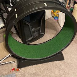 Cat treadmill
