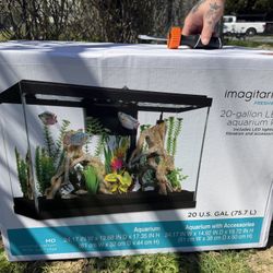 Imagitarium Freshwater Tank