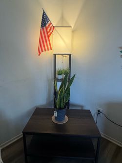 Coffee table and Floor lamp