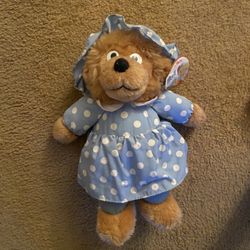 Brand New With Tags Bernstein Bear 