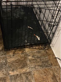 Dog kennel XL