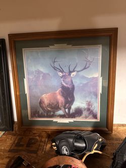 Deer picture