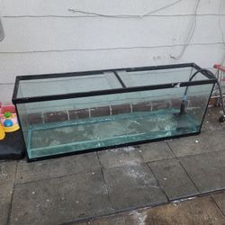 90 Gallon Tank