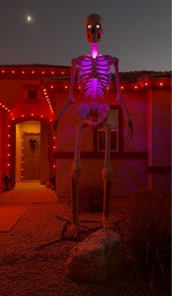 12 ft Home Depot Skeleton