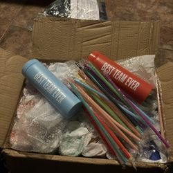 (313) "BEST TEAM EVER " Teacher Gifts Employee Appreciation Gifts Graduation Gift 16 oz Inspirational Skinny Tumblers Bulk with Lid and Straw for Nurs