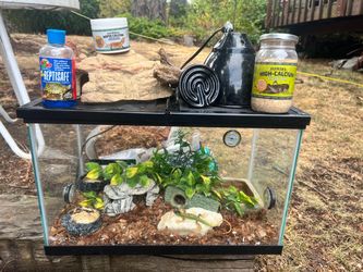 Reptile Terrarium