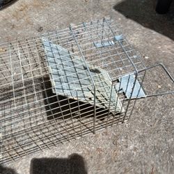 Animal Trap