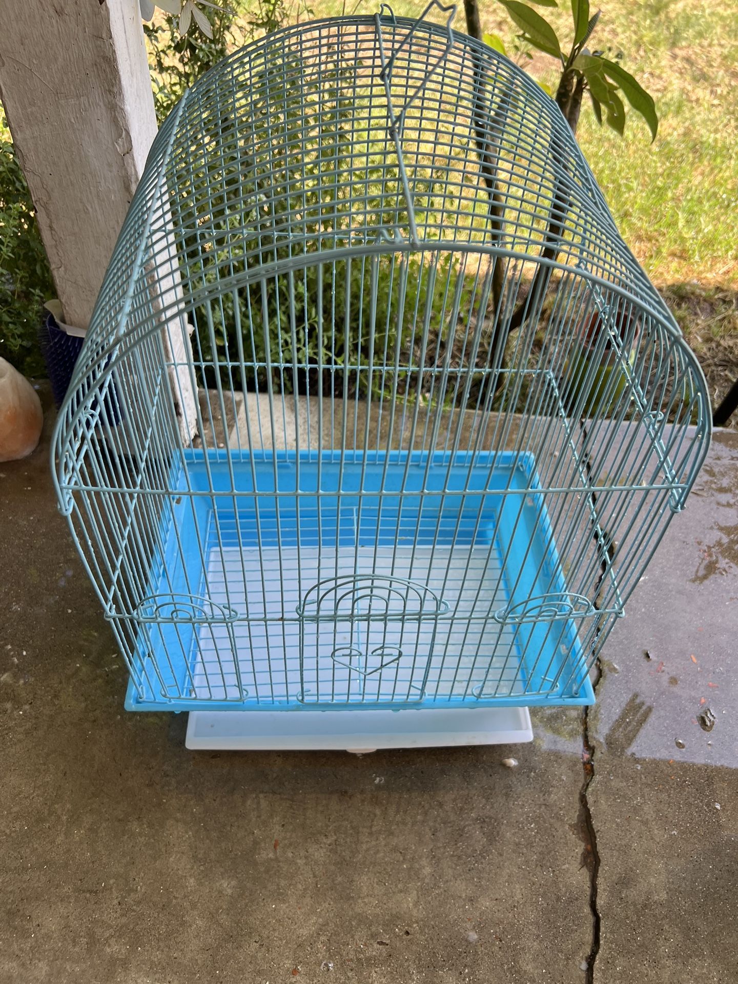 Bird Cage