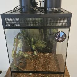 Terrarium For Sale 
