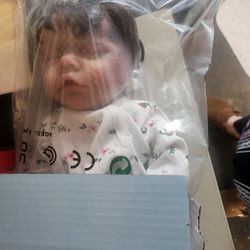 New In Box Reborn Baby Doll
