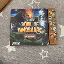Dinosaur toys