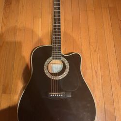 Esteban American Legacy Midnight Steel Electric Acoustic Guitar 
Guitar & Case