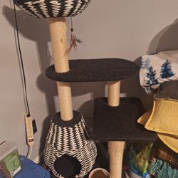 Cat Tree