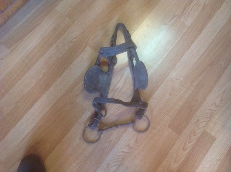 Antique Horse Bridle, blinders