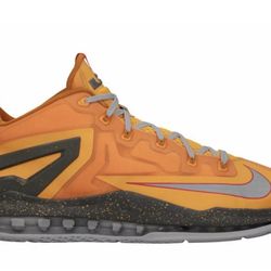 Nike Max LeBron 11 XI Low Floridian sz10 Worn Once