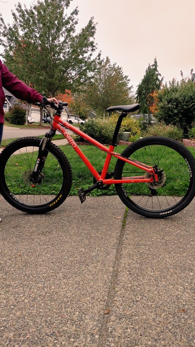 Pello Kids Mountain Bike Reyes 24" 9 Speed