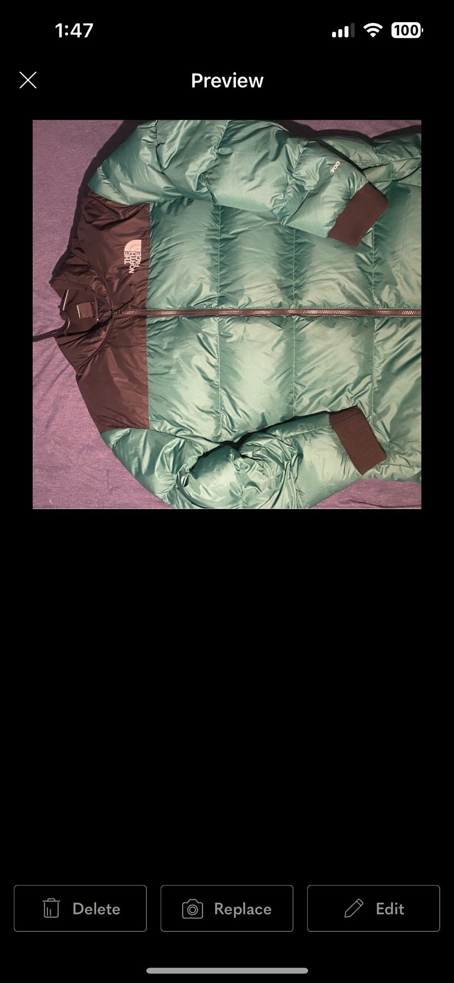 North face 700 Puffer Jacket