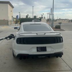 Mustang gt 15-23 taillights 