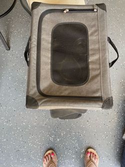 Pet carrier with bowels