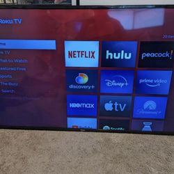 TVL 55” 4K (issue with Display)