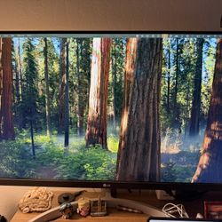 LG 27 Inch Monitor