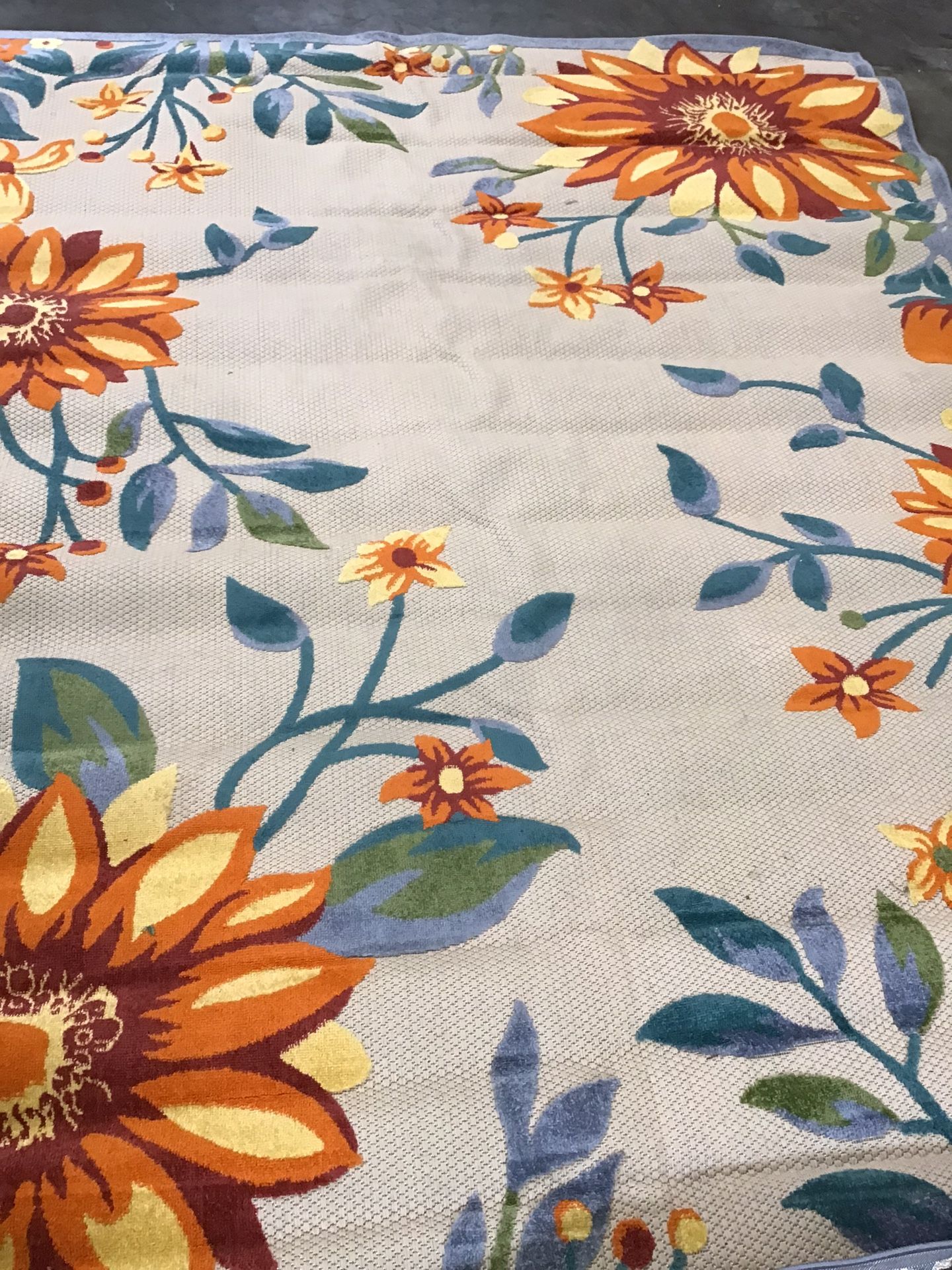 Outdoor Indoor Rug