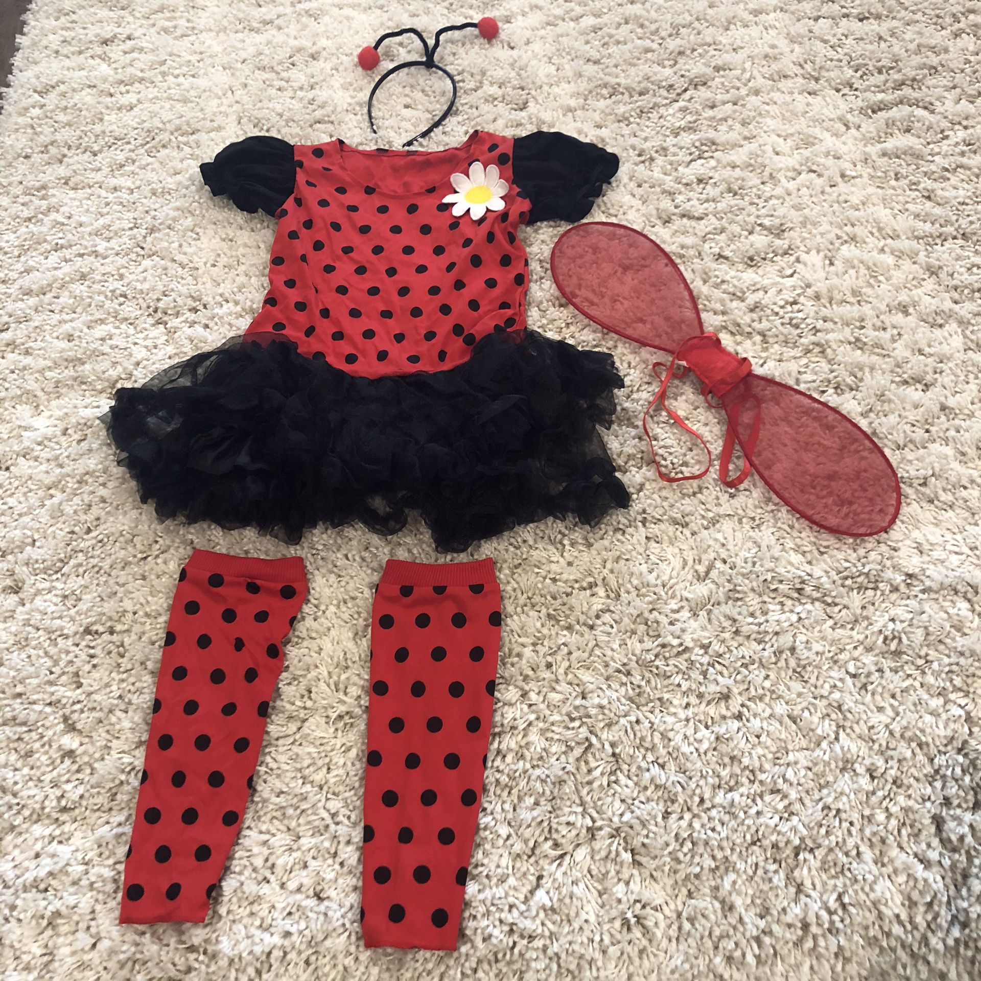 Daisy Bug Costume Child’s Size Medium
