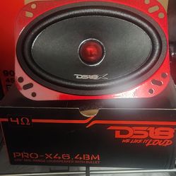 New!! DS18 (2) 4x6 Mid Range Speakers