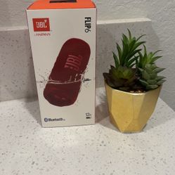 JBL FLIP 6 